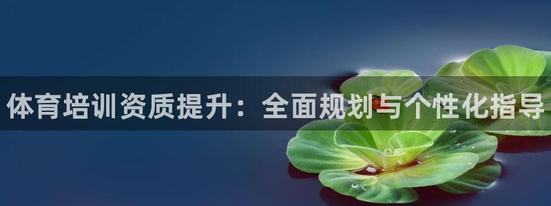 极悦平台和蓝狮平台区别在哪：体育培训资质提升：全面规划与个性