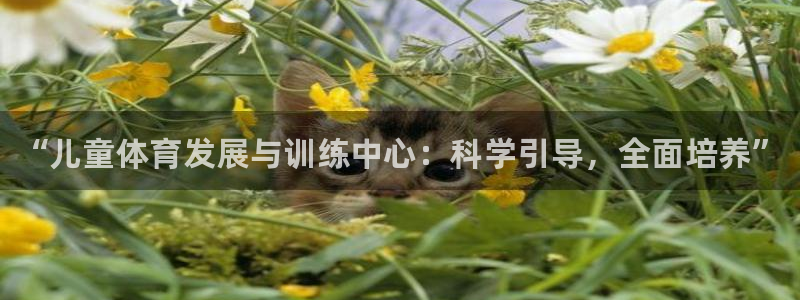 极悦平台很7O777：“儿童体育发展与训练中心：科学引导，全