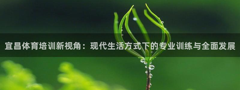 极悦平台注册失败如何解决呢：宜昌体育培训新视角：现代生活方式