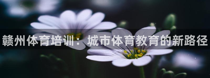 极悦平台代理怎么样可靠吗