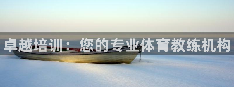 极悦平台是正规平台吗：卓越培训：您的专业体育教练机构