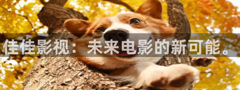 迅播影院在线看：佳佳影视：未来电影的新可能。