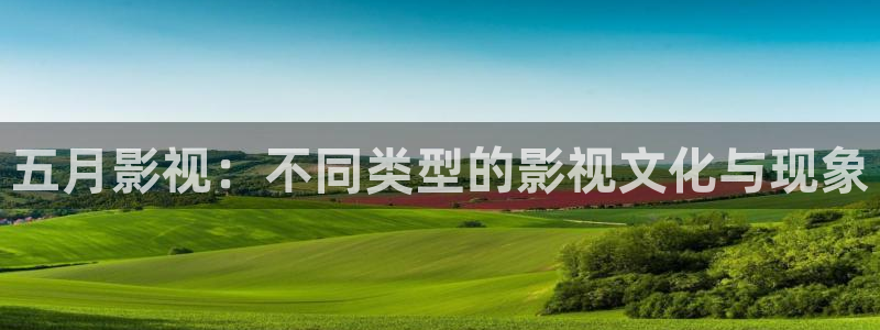 迅播影院在线观看：五月影视：不同类型的影视文化与现象