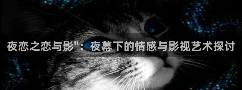 www.迅播影院：夜恋之恋与影\