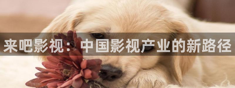 迅播影院绿色皇宫：来吧影视：中国影视产业的新路径