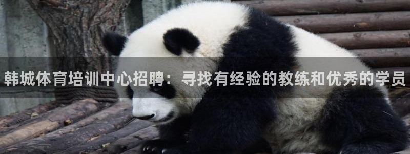极悦平台官网登录网址查询：韩城体育培训中心招聘：寻找