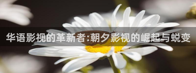 迅播影院电视剧免费观看：华语影视的革新者:朝夕影视的崛起与蜕变