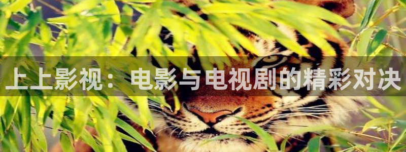 爱迅播影院：上上影视：电影与电视剧的精彩对决